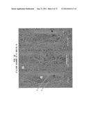 Methods of Making a Belt-Creped Absorbent Cellulosic Sheet Prepared with a     Perforated Polymeric Belt diagram and image