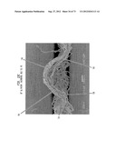 Methods of Making a Belt-Creped Absorbent Cellulosic Sheet Prepared with a     Perforated Polymeric Belt diagram and image