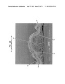 Methods of Making a Belt-Creped Absorbent Cellulosic Sheet Prepared with a     Perforated Polymeric Belt diagram and image