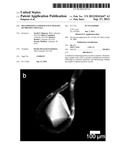 MULTIPHOTON LUMINESCENCE IMAGING OF PROTEIN CRYSTALS diagram and image