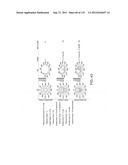 SEE-THROUGH NEAR-EYE DISPLAY GLASSES WITH THE OPTICAL ASSEMBLY INCLUDING     ABSORPTIVE POLARIZERS OR ANTI-REFLECTIVE COATINGS TO REDUCE STRAY LIGHT diagram and image