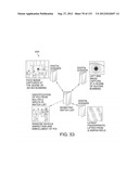 SEE-THROUGH NEAR-EYE DISPLAY GLASSES WITH THE OPTICAL ASSEMBLY INCLUDING     ABSORPTIVE POLARIZERS OR ANTI-REFLECTIVE COATINGS TO REDUCE STRAY LIGHT diagram and image