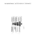 SEE-THROUGH NEAR-EYE DISPLAY GLASSES WITH THE OPTICAL ASSEMBLY INCLUDING     ABSORPTIVE POLARIZERS OR ANTI-REFLECTIVE COATINGS TO REDUCE STRAY LIGHT diagram and image