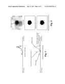 AUTOMATIC SETTING OF ZOOM, APERTURE AND  SHUTTER SPEED BASED ON SCENE     DEPTH MAP diagram and image