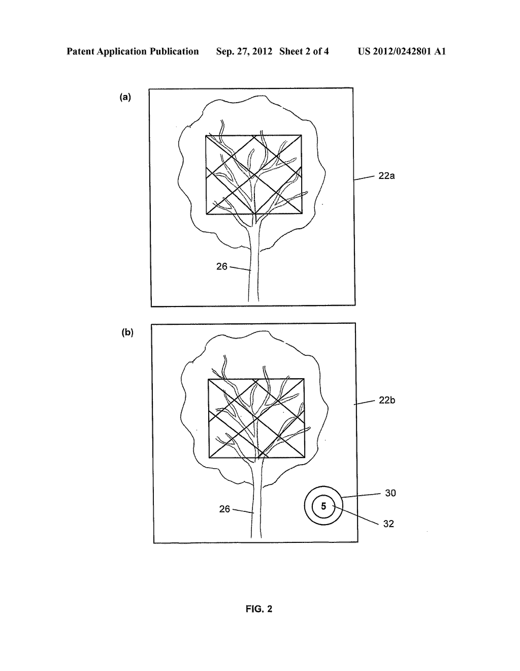 Vision Enhancement for a Vision Impaired User - diagram, schematic, and image 03