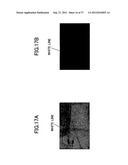 IMAGING DEVICE, ON-VEHICLE IMAGING SYSTEM, ROAD SURFACE APPEARANCE     DETECTION METHOD, AND OBJECT DETECTION DEVICE diagram and image