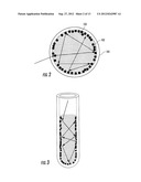 SURFACE-ENHANCED RAMAN SCATTERING APPARATUS AND METHODS diagram and image