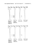 ZOOM LENS SYSTEM diagram and image