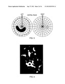 QUANTIFYING CELL DEATH diagram and image