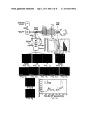 QUANTIFYING CELL DEATH diagram and image