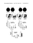 QUANTIFYING CELL DEATH diagram and image