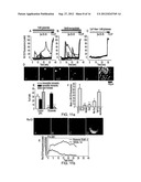 QUANTIFYING CELL DEATH diagram and image