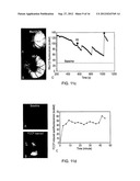 QUANTIFYING CELL DEATH diagram and image