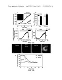 QUANTIFYING CELL DEATH diagram and image