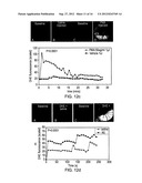 QUANTIFYING CELL DEATH diagram and image