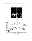 QUANTIFYING CELL DEATH diagram and image