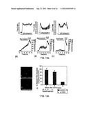 QUANTIFYING CELL DEATH diagram and image