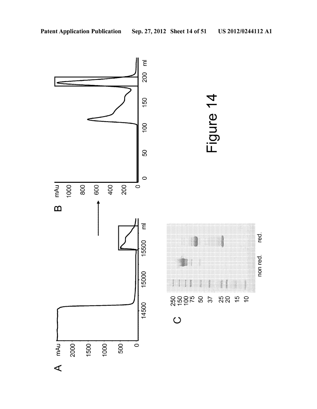 MUTANT INTERLEUKIN-2 POLYPEPTIDES - diagram, schematic, and image 15