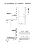 MUTANT INTERLEUKIN-2 POLYPEPTIDES diagram and image