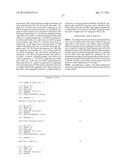 PLURIPOTENT STEM CELL THAT CAN BE ISOLATED FROM BODY TISSUE diagram and image