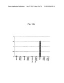 PLURIPOTENT STEM CELL THAT CAN BE ISOLATED FROM BODY TISSUE diagram and image