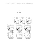 PLURIPOTENT STEM CELL THAT CAN BE ISOLATED FROM BODY TISSUE diagram and image