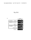 PLURIPOTENT STEM CELL THAT CAN BE ISOLATED FROM BODY TISSUE diagram and image