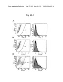 PLURIPOTENT STEM CELL THAT CAN BE ISOLATED FROM BODY TISSUE diagram and image