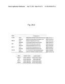 PLURIPOTENT STEM CELL THAT CAN BE ISOLATED FROM BODY TISSUE diagram and image