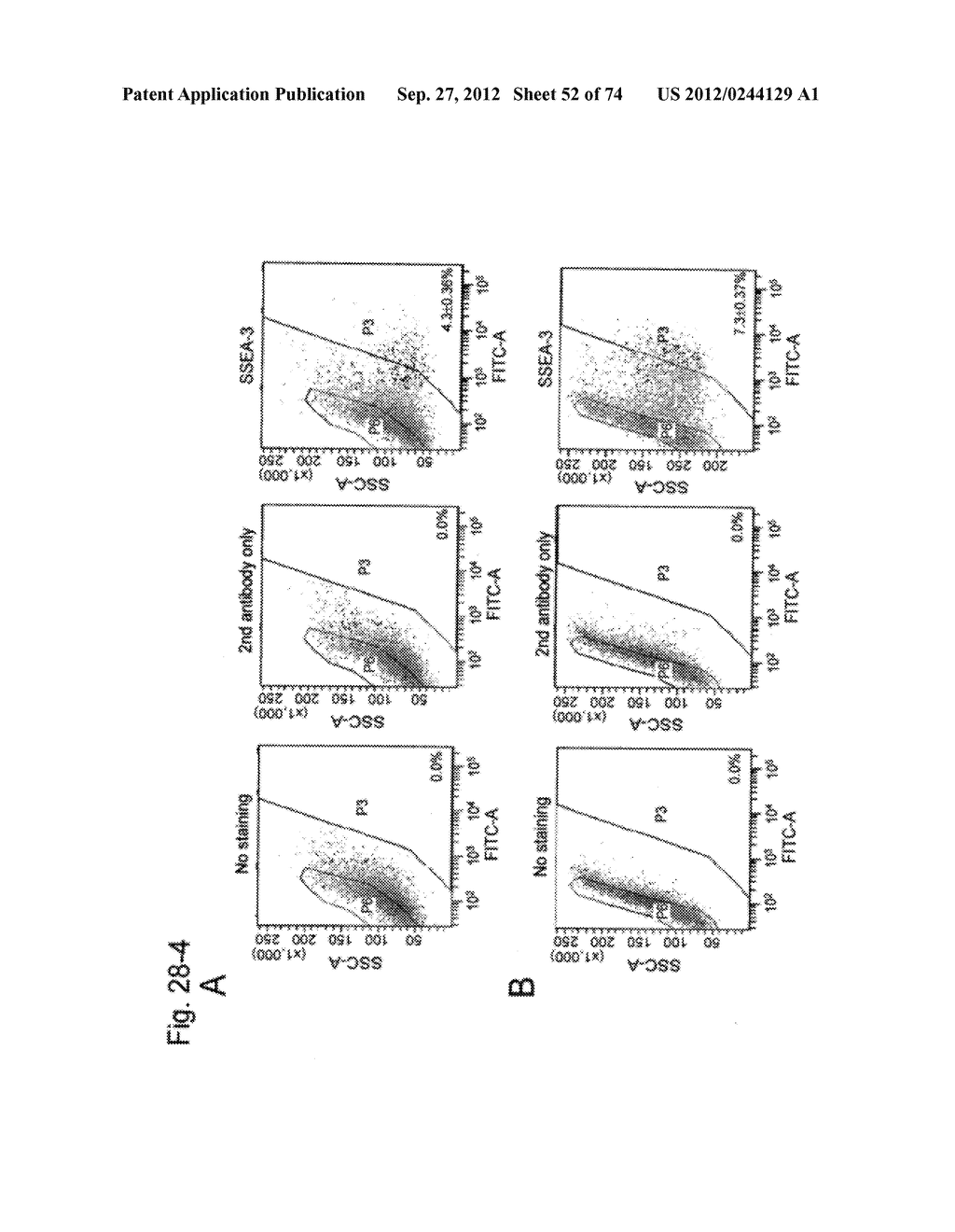 PLURIPOTENT STEM CELL THAT CAN BE ISOLATED FROM BODY TISSUE - diagram, schematic, and image 53