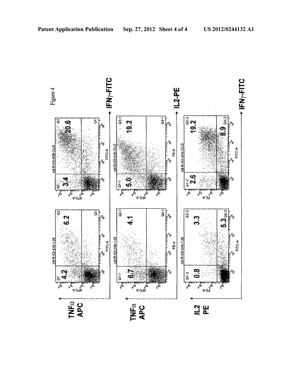 T-CELL RECEPTOR - diagram, schematic, and image 05