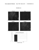 Cardiac-Specific Protein Targeting Domain diagram and image