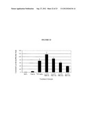 Cardiac-Specific Protein Targeting Domain diagram and image