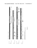 PERTUSSIS ANTIBODIES AND USES THEREOF diagram and image