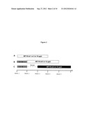 DOSAGE REGIMEN FOR ADMINISTERING AN EpCAMxCD3 BISPECIFIC  ANTIBODY diagram and image