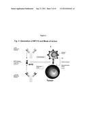 DOSAGE REGIMEN FOR ADMINISTERING AN EpCAMxCD3 BISPECIFIC  ANTIBODY diagram and image