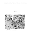 DOSAGE REGIMEN FOR ADMINISTERING AN EpCAMxCD3 BISPECIFIC  ANTIBODY diagram and image