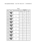 NEUTRALIZING ANTIBODIES TO HIV-1 AND THEIR USE diagram and image