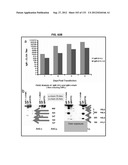 NEUTRALIZING ANTIBODIES TO HIV-1 AND THEIR USE diagram and image