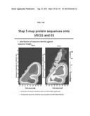 NEUTRALIZING ANTIBODIES TO HIV-1 AND THEIR USE diagram and image