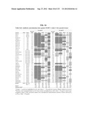 NEUTRALIZING ANTIBODIES TO HIV-1 AND THEIR USE diagram and image