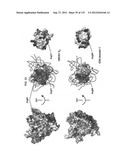 NEUTRALIZING ANTIBODIES TO HIV-1 AND THEIR USE diagram and image