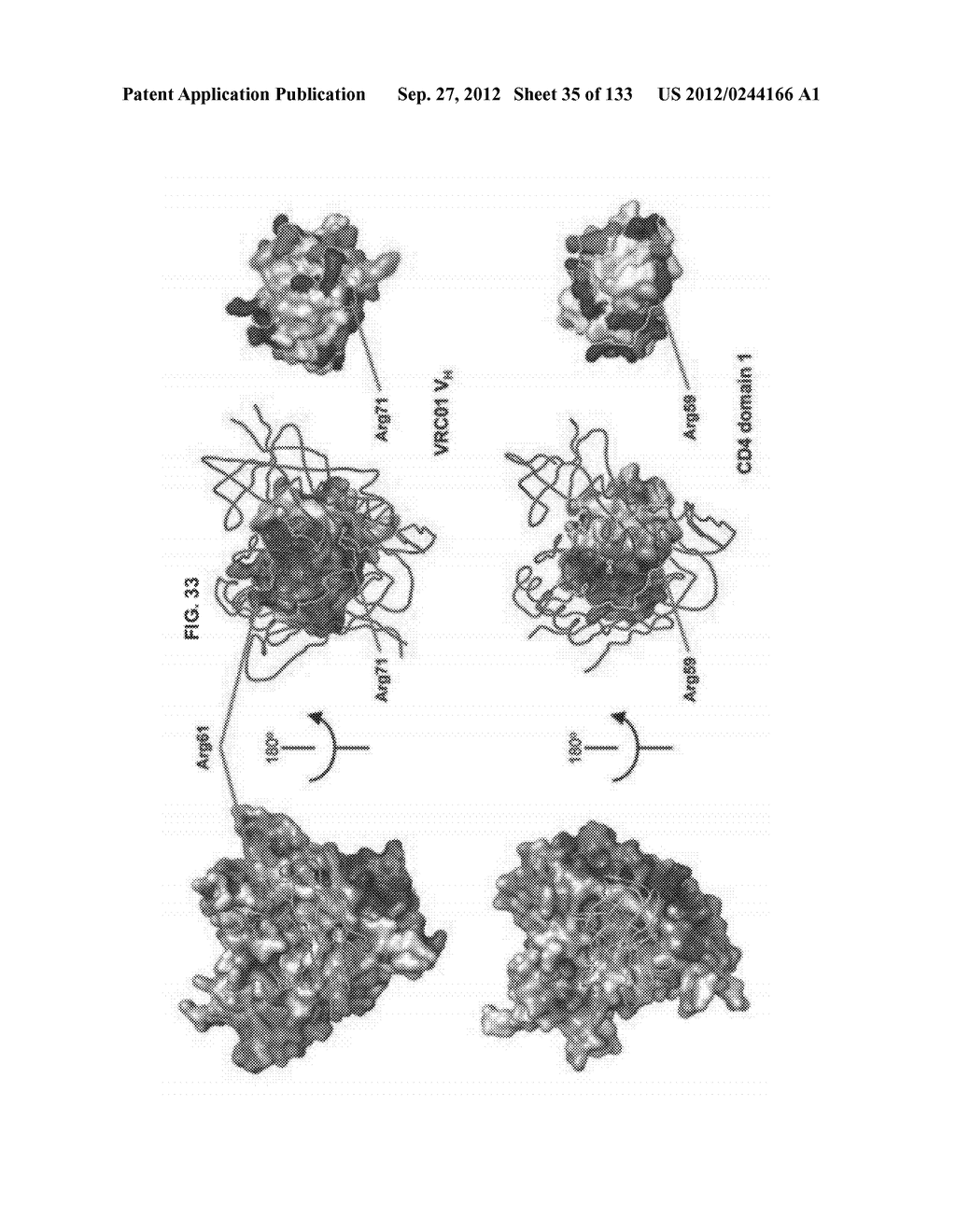 NEUTRALIZING ANTIBODIES TO HIV-1 AND THEIR USE - diagram, schematic, and image 36