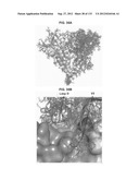 NEUTRALIZING ANTIBODIES TO HIV-1 AND THEIR USE diagram and image