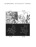 NEUTRALIZING ANTIBODIES TO HIV-1 AND THEIR USE diagram and image