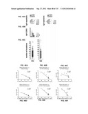 NEUTRALIZING ANTIBODIES TO HIV-1 AND THEIR USE diagram and image