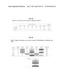 NEUTRALIZING ANTIBODIES TO HIV-1 AND THEIR USE diagram and image