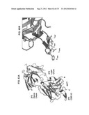 NEUTRALIZING ANTIBODIES TO HIV-1 AND THEIR USE diagram and image