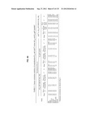 NEUTRALIZING ANTIBODIES TO HIV-1 AND THEIR USE diagram and image