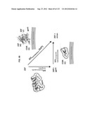 NEUTRALIZING ANTIBODIES TO HIV-1 AND THEIR USE diagram and image